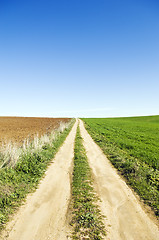 Image showing Country road