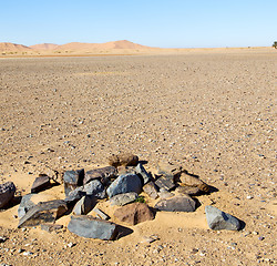 Image showing  bush old fossil in  the desert of morocco sahara and rock  ston