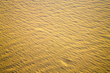 Image showing africa   sand dune in   sahara morocco desert  