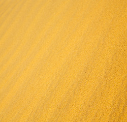 Image showing africa the brown sand dune in   sahara morocco desert line