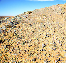 Image showing  old fossil in  the desert of morocco sahara and rock  stone sky