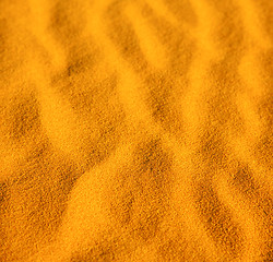 Image showing africa the brown sand dune in   sahara morocco desert line