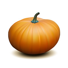 Image showing Orange realistic pumpkin