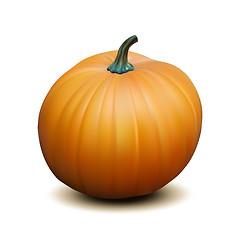 Image showing Orange realistic pumpkin