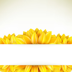 Image showing Sunflower on white background. EPS 10