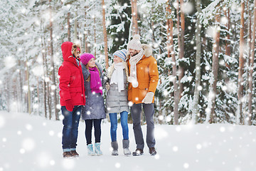 Image showing group of smiling men and women in winter forest