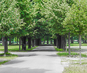 Image showing Dalla Chiesa park in Collegno