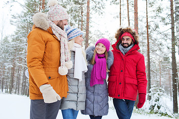 Image showing group of smiling men and women in winter forest