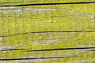 Image showing Surface of an empty green wooden background.