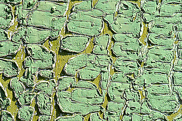 Image showing Old green tree bark texture closeup