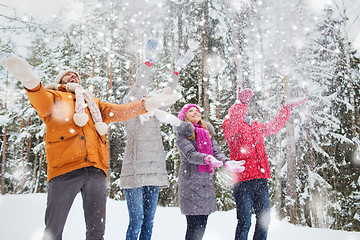 Image showing group of smiling men and women in winter forest