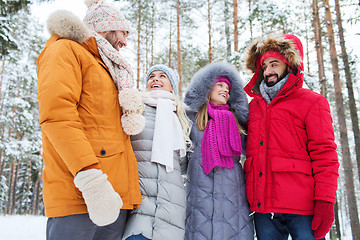 Image showing group of smiling men and women in winter forest