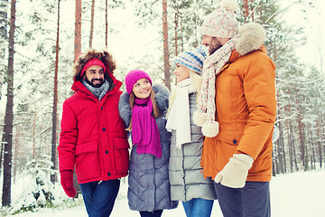 Image showing group of smiling men and women in winter forest