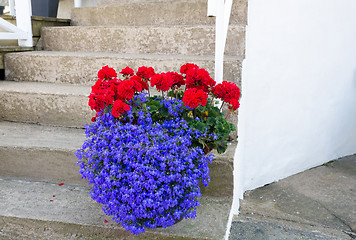 Image showing Flower on the stair