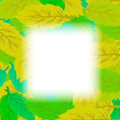 Image showing Autumn Leaves Background.