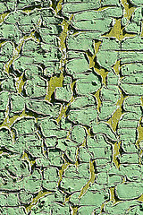 Image showing Old green tree bark texture closeup