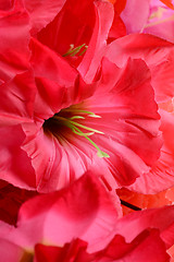 Image showing artificial flowers red handmade velor tissue background close up