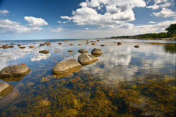 Image showing Coastal Sweden