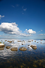 Image showing Coastal Sweden