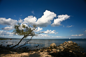 Image showing Coastal Sweden