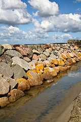 Image showing Coastal Sweden