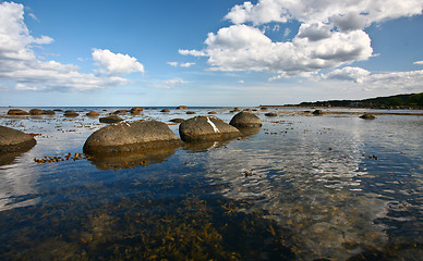 Image showing Coastal Sweden