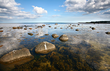 Image showing Coastal Sweden