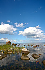 Image showing Coastal Sweden