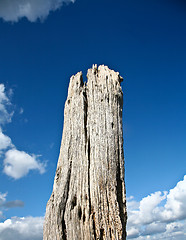 Image showing Coastal Sweden