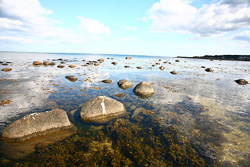 Image showing Coastal Sweden