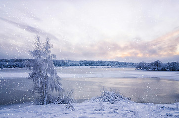 Image showing Winter landscape with lake and tree in the frost with falling sn