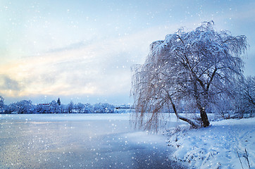 Image showing Winter landscape with lake and tree in the frost with falling sn