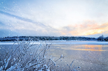 Image showing Winter landscape with lake and trees covered with frost