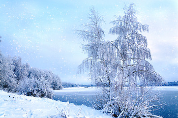 Image showing Winter landscape with trees, covered with hoarfrost and lake vie