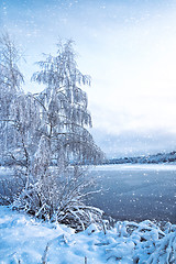 Image showing Winter landscape with trees, covered with hoarfrost and lake 
