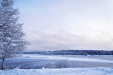 Image showing Winter landscape with lake and trees covered with frost