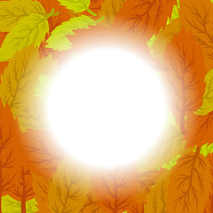 Image showing Autumn Leaves Background.