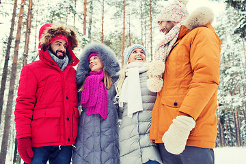 Image showing group of smiling men and women in winter forest