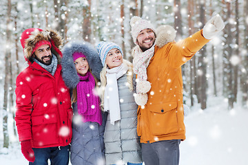 Image showing group of smiling men and women in winter forest