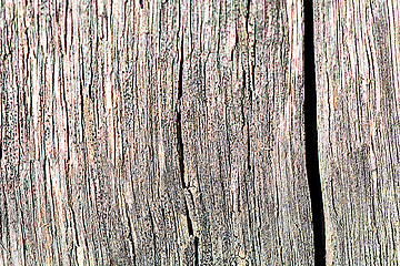 Image showing Wood plank texture, background