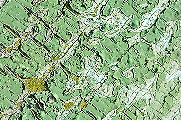 Image showing Old green cracked tree bark texture
