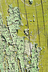 Image showing old oak tree bark texture