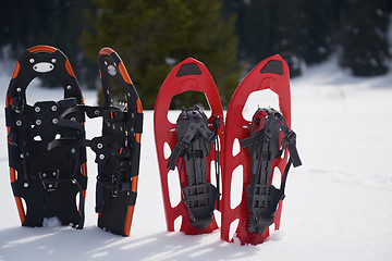 Image showing winter snowshoes