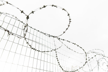 Image showing barb wire fence over gray sky