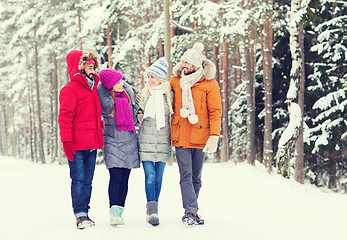 Image showing group of smiling men and women in winter forest