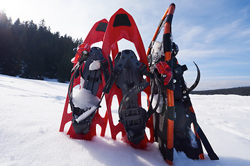 Image showing winter snowshoes