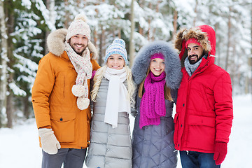 Image showing group of smiling men and women in winter forest