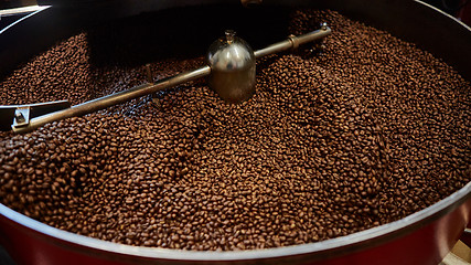 Image showing Freshly roasted coffee beans