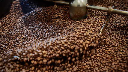 Image showing Freshly roasted coffee beans