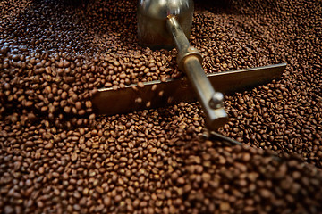 Image showing Freshly roasted coffee beans